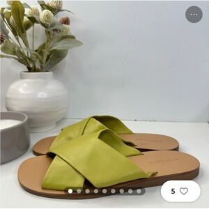 Everlane pistachio crossover sandals